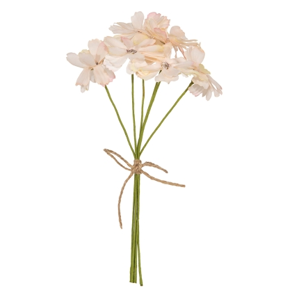 Immagini/shoppercenter_12647_deco