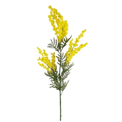 Immagini/shoppercenter_12678_deco