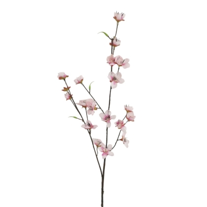 Immagini/shoppercenter_12679_deco