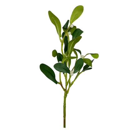 Immagini/shoppercenter_12684_deco