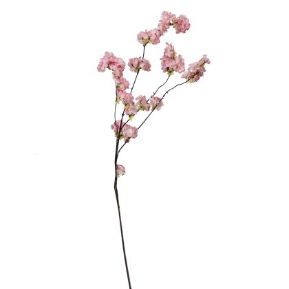 Immagini/shoppercenter_12685_deco