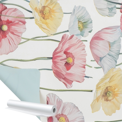 Immagini/shoppercenter_12695_bobina