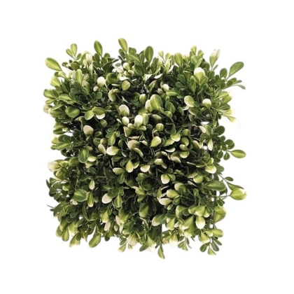 Immagini/shoppercenter_12758_verde