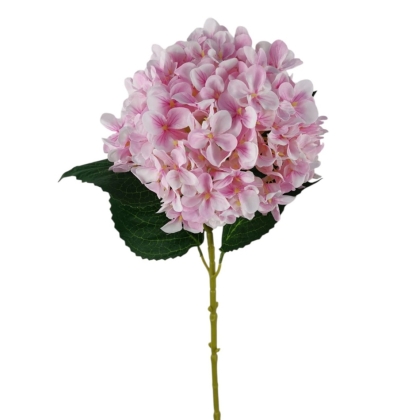 Immagini/shoppercenter_12761_verde