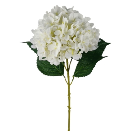 Immagini/shoppercenter_12762_verde