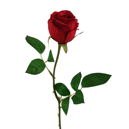 Immagini/shoppercenter_12766_verde