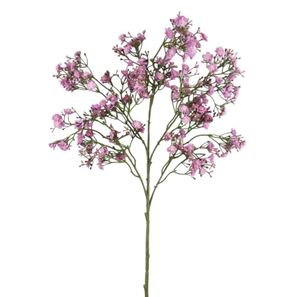 Immagini/shoppercenter_12767_verde