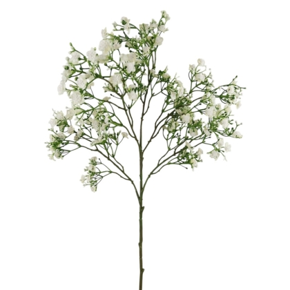 Immagini/shoppercenter_12768_verde