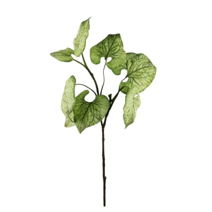 Immagini/shoppercenter_12769_verde