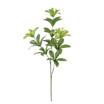 Immagini/shoppercenter_12770_verde