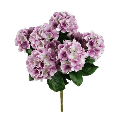 Immagini/shoppercenter_12774_verde