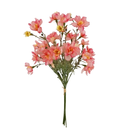 Immagini/shoppercenter_12779_verde