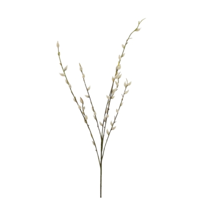 Immagini/shoppercenter_12784_verde