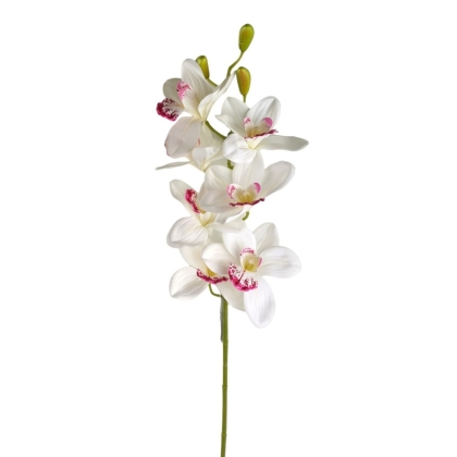 Immagini/shoppercenter_12788_verde