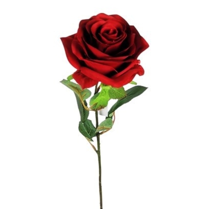 Immagini/shoppercenter_12789_verde