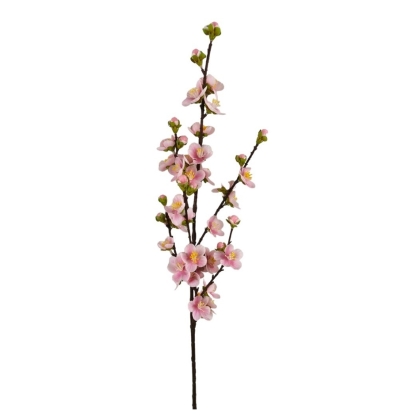 Immagini/shoppercenter_12791_verde