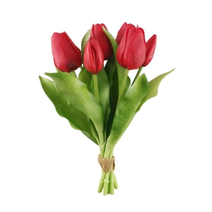 Immagini/shoppercenter_12792_verde