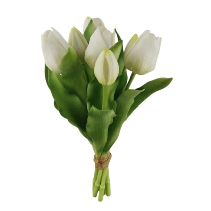 Immagini/shoppercenter_12793_verde