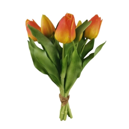 Immagini/shoppercenter_12794_verde