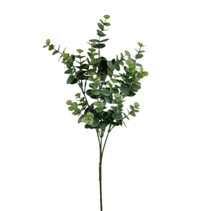 Immagini/shoppercenter_12799_verde