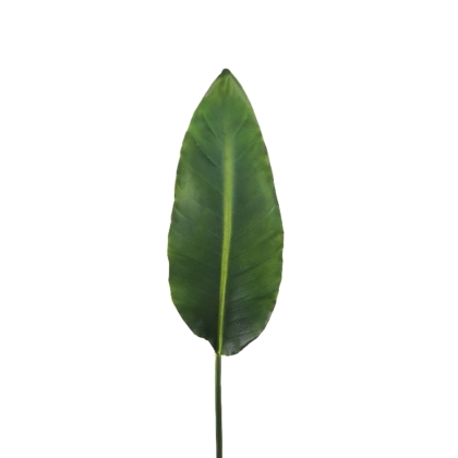 Immagini/shoppercenter_12800_verde