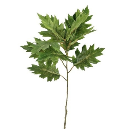 Immagini/shoppercenter_12801_verde