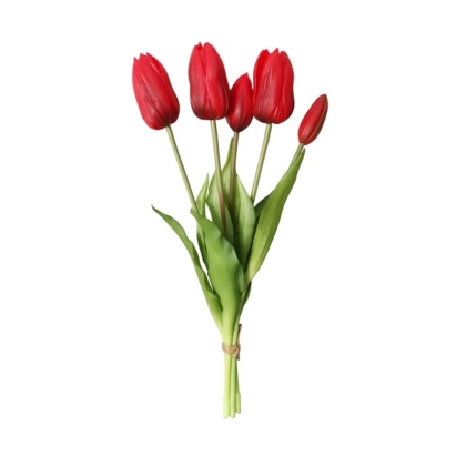 Immagini/shoppercenter_12804_verde