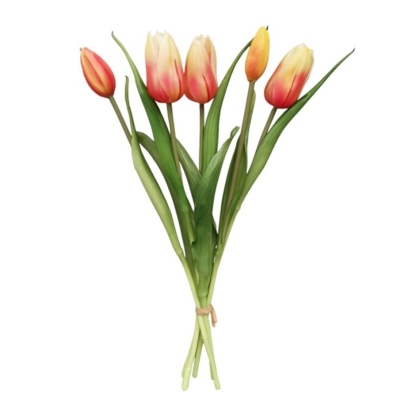 Immagini/shoppercenter_12806_verde