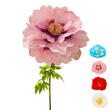 shoppercenter_12818_fiore