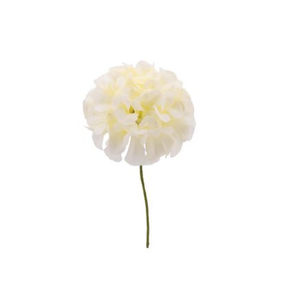 shoppercenter_12889_deco