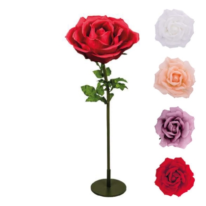 Immagini/shoppercenter_12902_deco