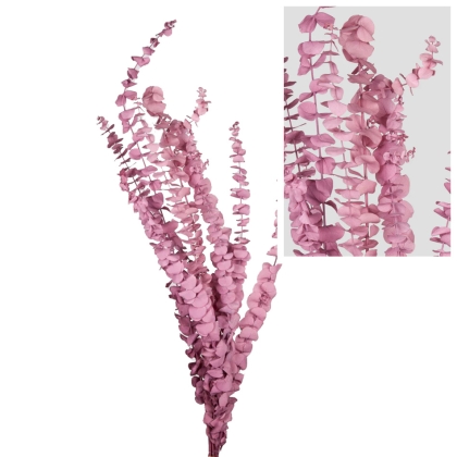 shoppercenter_13050_fiore