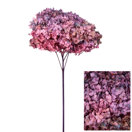 shoppercenter_13054_fiore