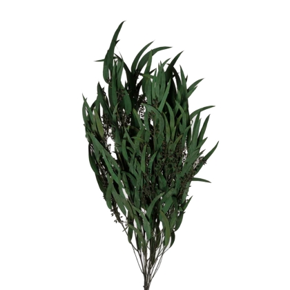 shoppercenter_13055_fiore