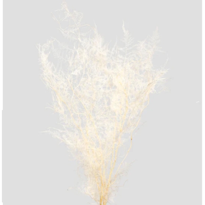 shoppercenter_13060_fiore
