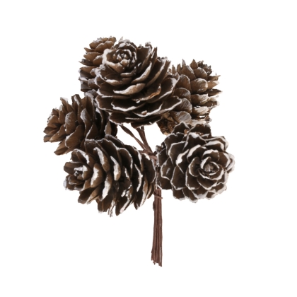 shoppercenter_13215_deco