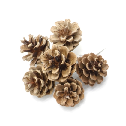shoppercenter_13216_deco