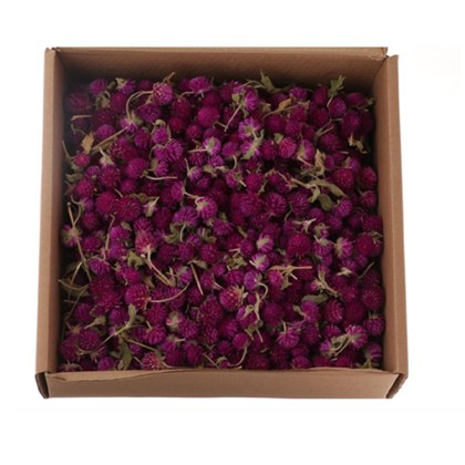 Immagini/shoppercenter_07115_muschiook