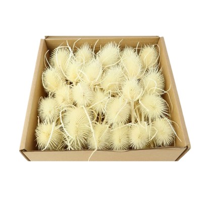 Immagini/shoppercenter_07117_fioreok