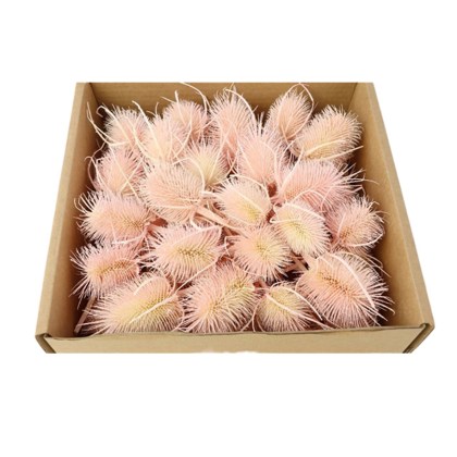 Immagini/shoppercenter_07119_fioreok