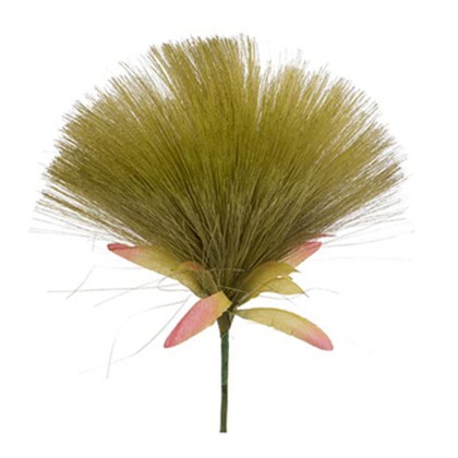 Immagini/shoppercenter_07328_decook