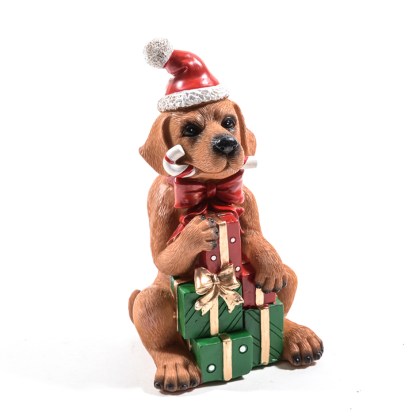 Immagini/shoppercenter_12592_deco