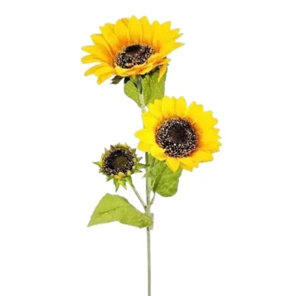 Immagini/shoppercenter_12797_verde