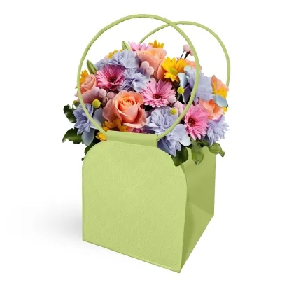 shoppercenter_13840_borsa