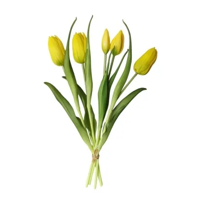 Immagini/shoppercenter_12805_verde