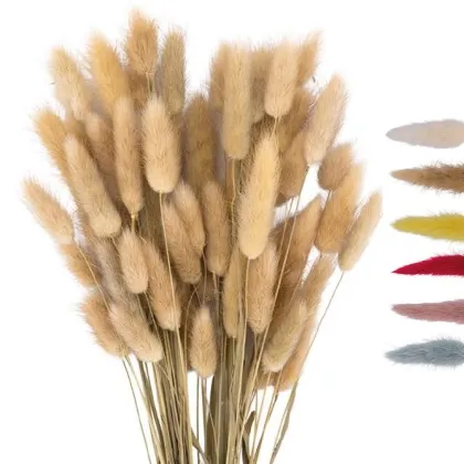 shoppercenter_13101_deco