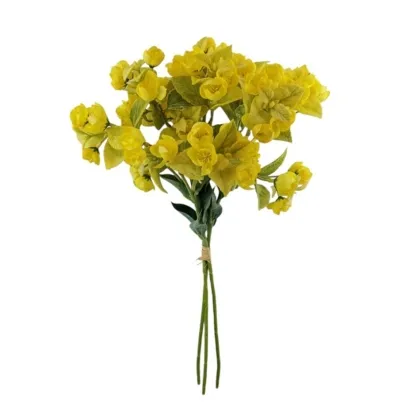 Immagini/shoppercenter_12781_verde