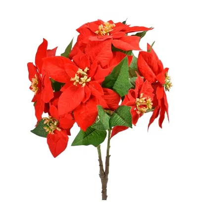 shoppercenter_13270_deco