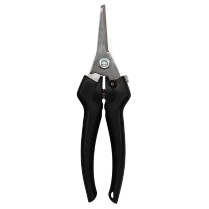 Immagini/shoppercenter_12643_deco