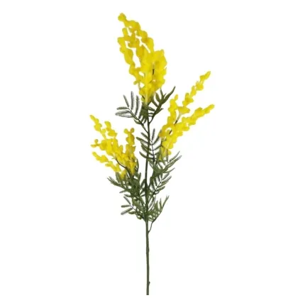 Immagini/shoppercenter_12678_deco